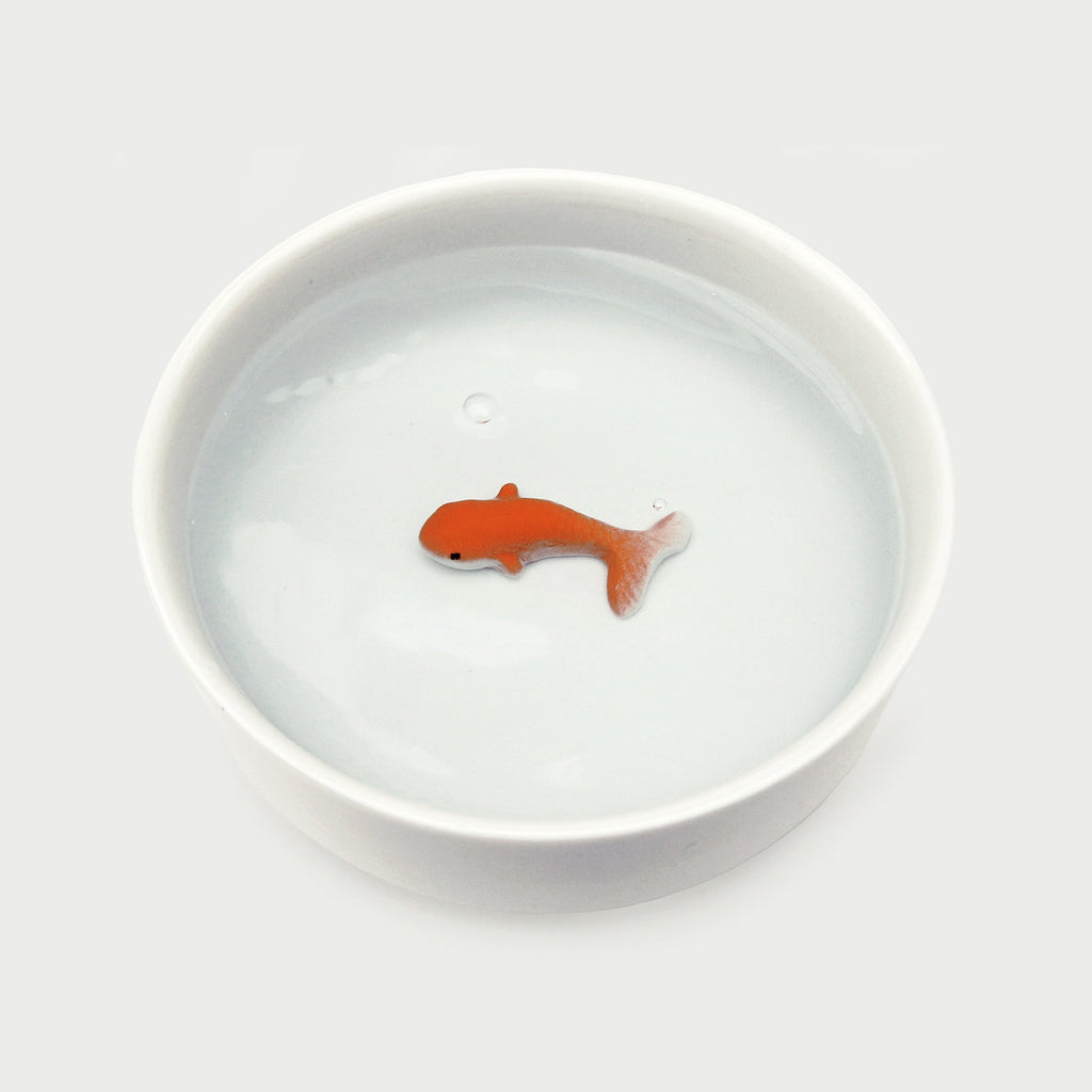 Goldfish Pet Bowl - Pets Amsterdam