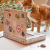 Cat Scratch Laptop - Pets Amsterdam