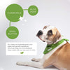 Unscented Dog Wipes - Pets Amsterdam