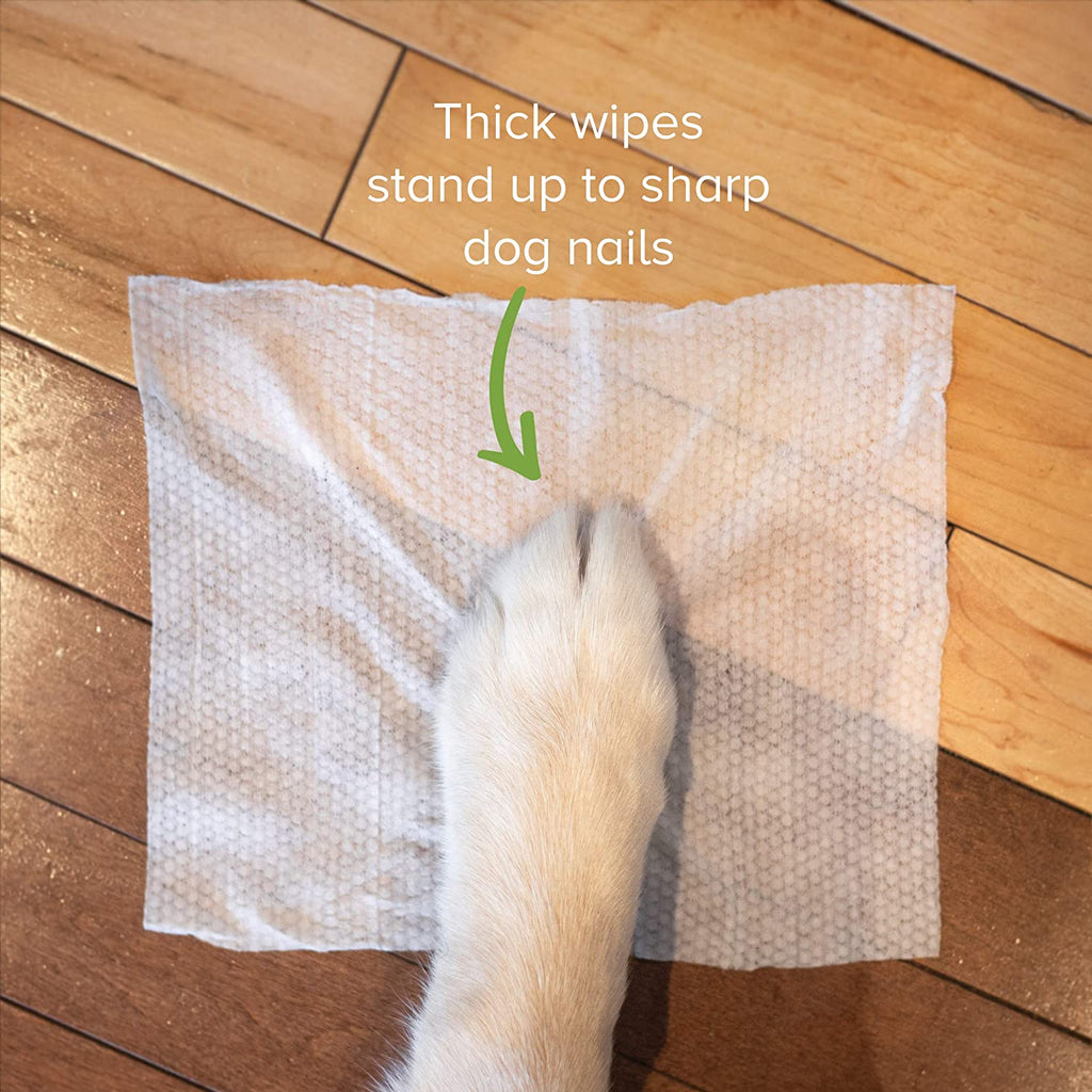 Unscented Dog Wipes - Pets Amsterdam