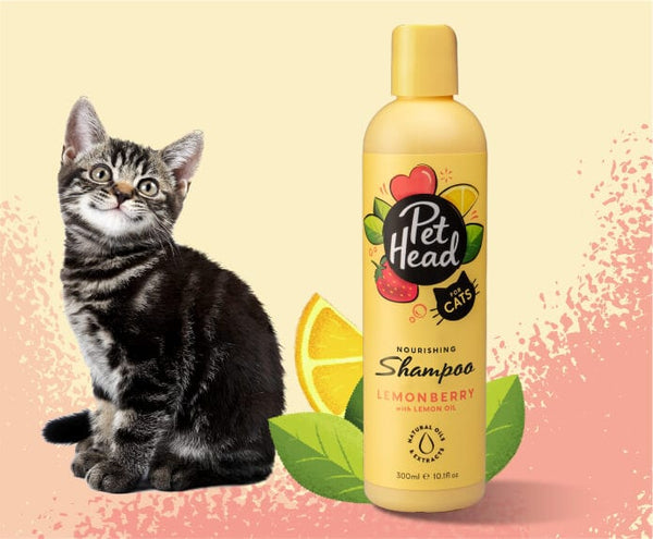 Felin' good Cat Shampoo - Pets Amsterdam