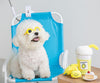 Lemonade Nose Work Dog Toy - Pets Amsterdam
