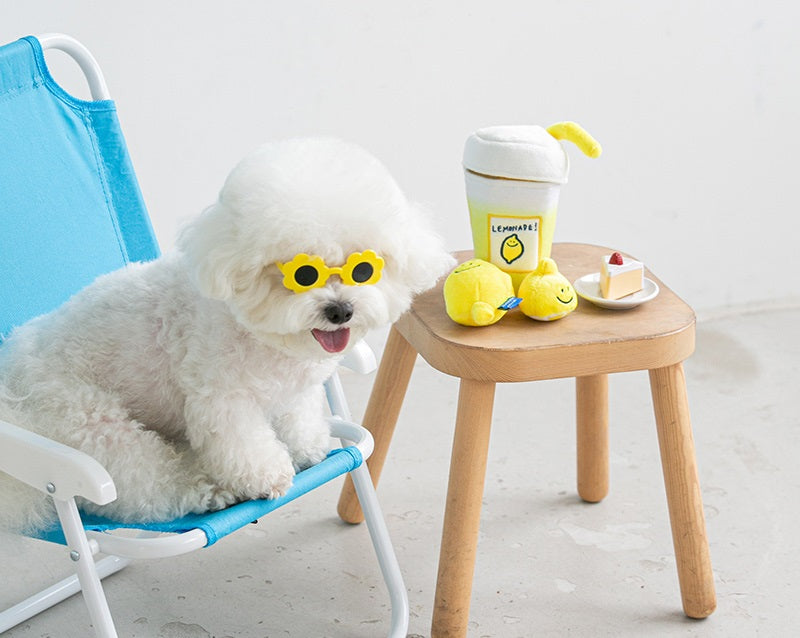 Lemonade Nose Work Dog Toy - Pets Amsterdam