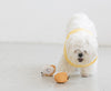 Yubu Sushi Nose Work Dog Toy - Pets Amsterdam
